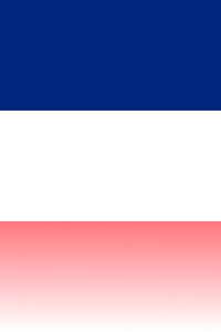Pomaturitní studium Praha, Pardubice, Příbram, Tábor: vlajka vlevo