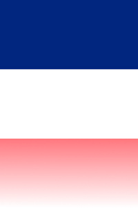 Pomaturitní studium Praha, Pardubice, Příbram, Tábor: vlajka vpravo